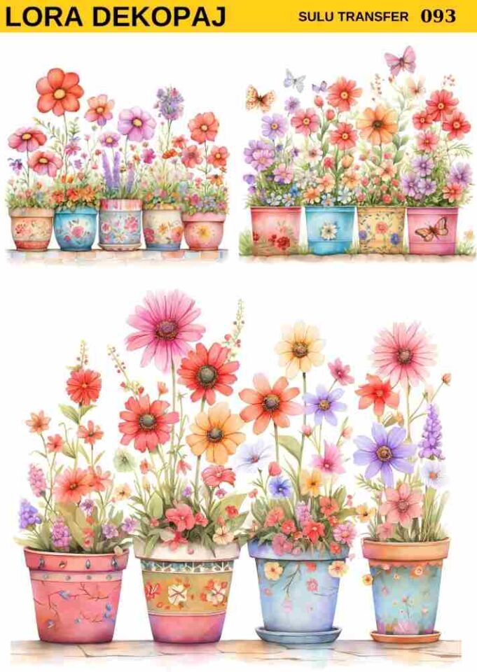 Lora s093 Sulu Transfer