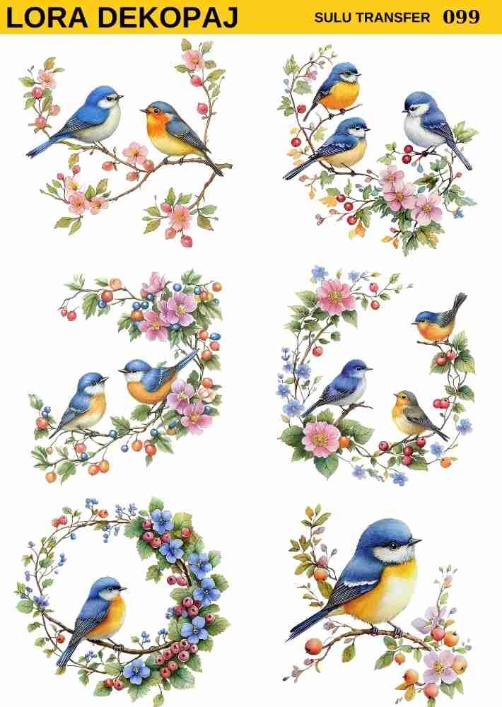 Lora s099 Sulu Transfer