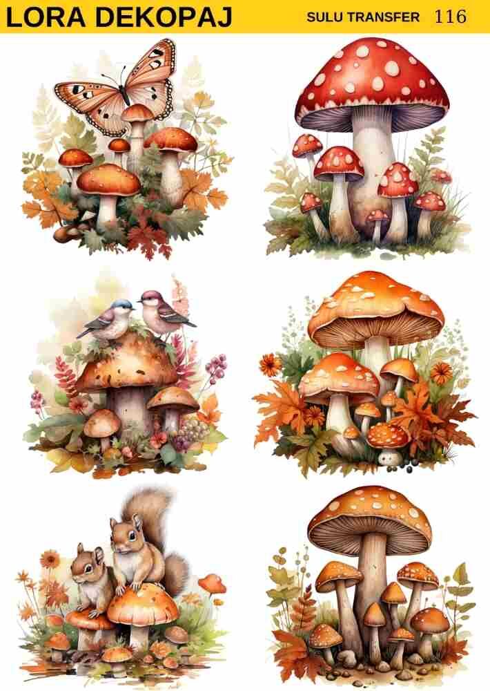 Lora s116 Sulu Transfer