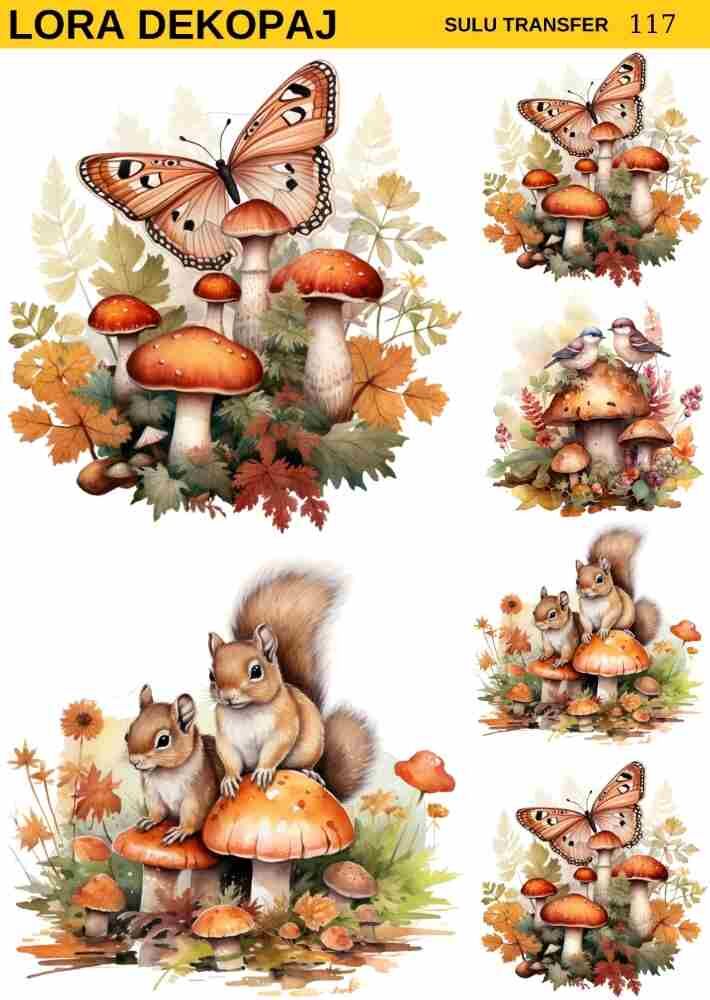 Lora s117 Sulu Transfer