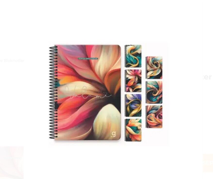 Gıpta Monet Spiralli  Sert Kapak Defter 17x24 100 Yaprak Çizgisiz