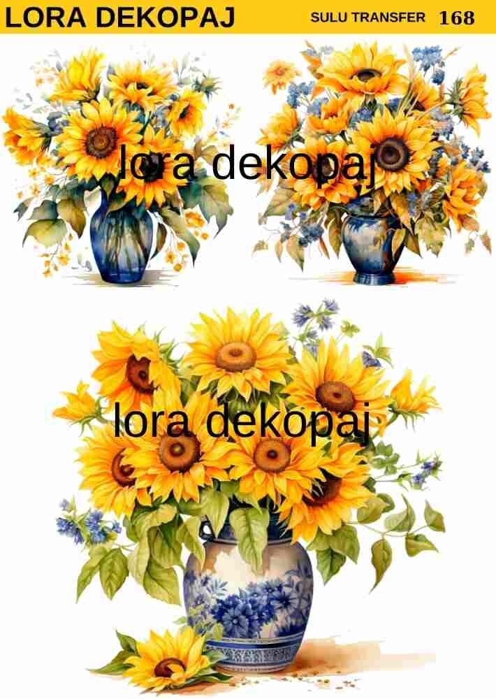 Lora s168 Sulu Transfer