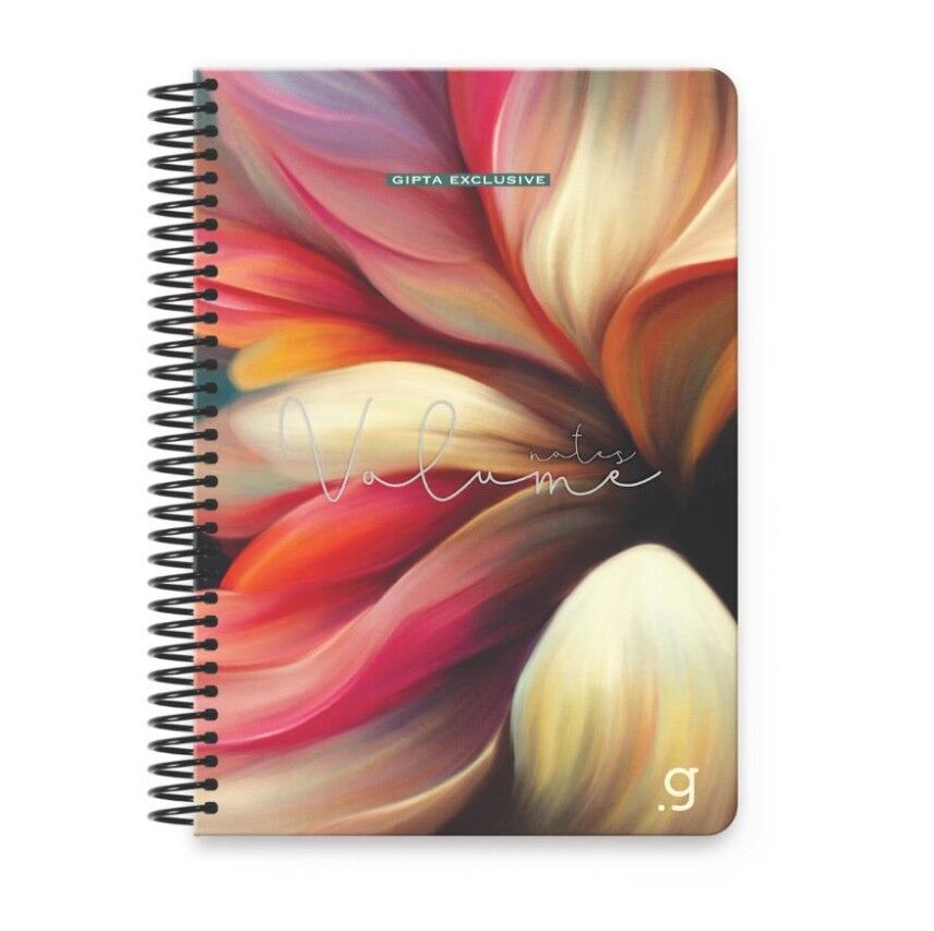 Gıpta Volume Spiralli Sert Kapak Defter 17x24 100 Yaprak Çizgili