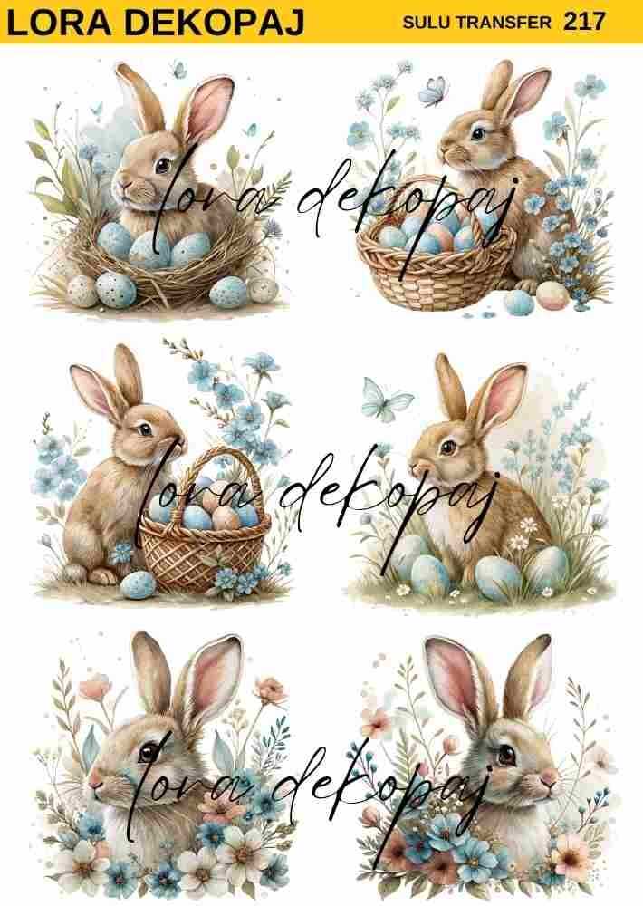 Lora s217 Sulu Transfer