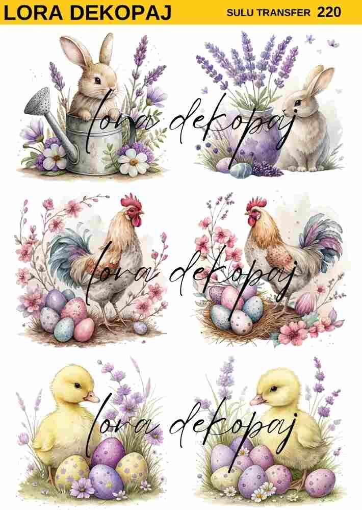 Lora s220 Sulu Transfer