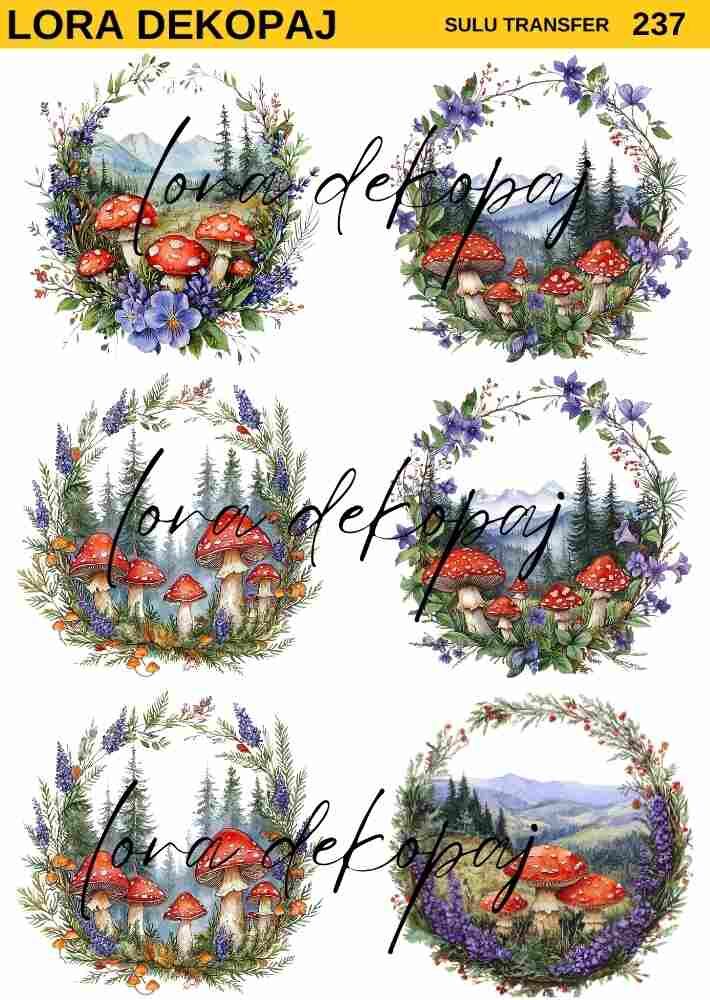 Lora s237 Sulu Transfer