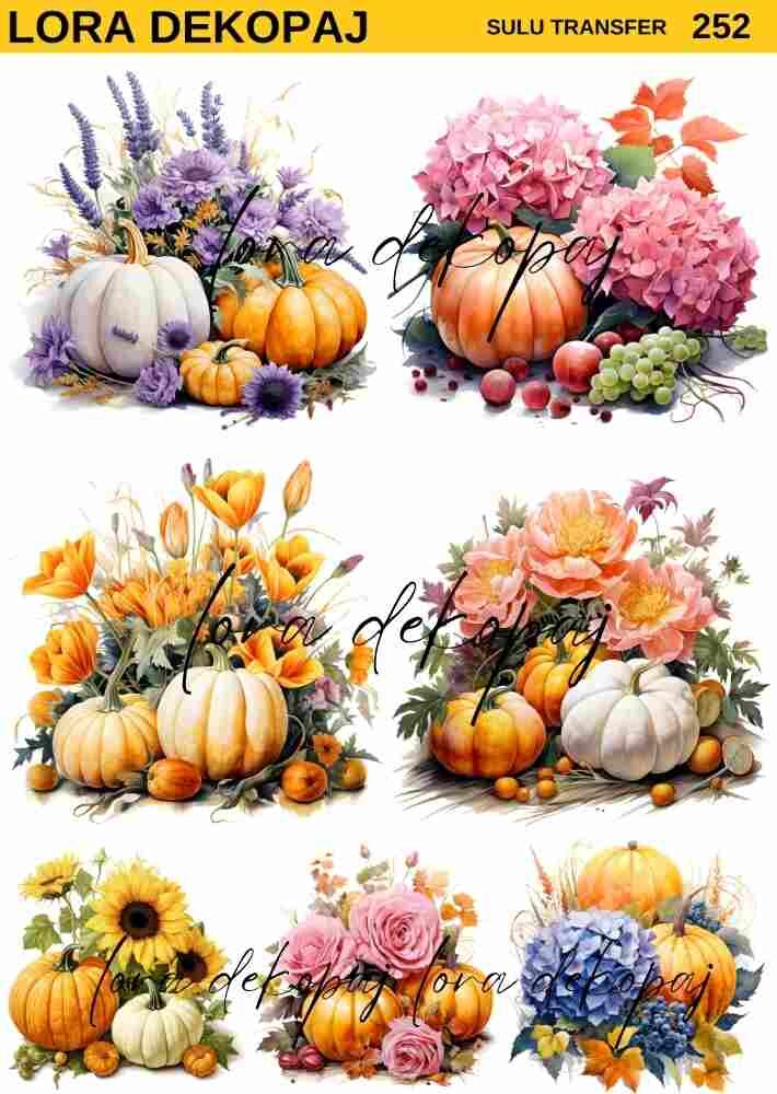 Lora s252 Sulu Transfer