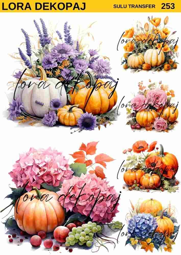 Lora s253 Sulu Transfer