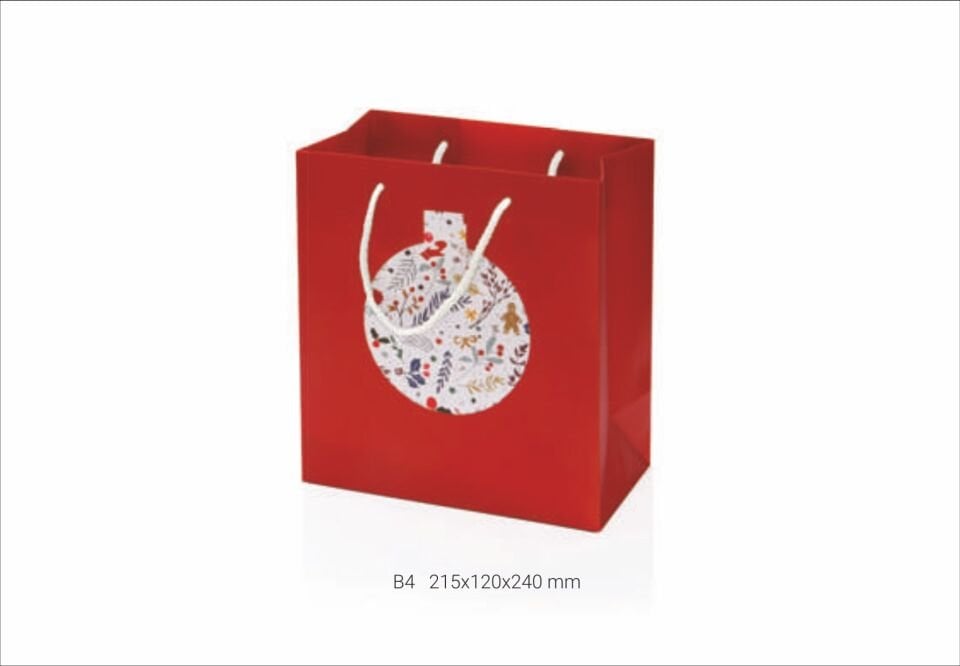 Gıpta B4 İrene Karton Çanta