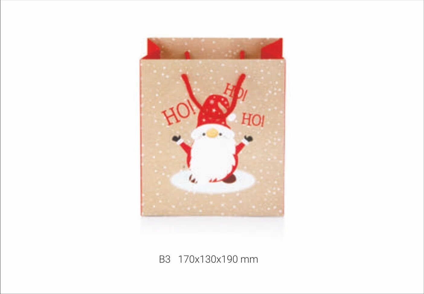 Gıpta Neve B3 Karton Çanta Seti