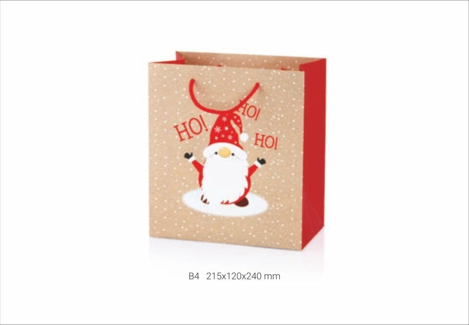 Gıpta B4 Neve Karton Çanta Seti