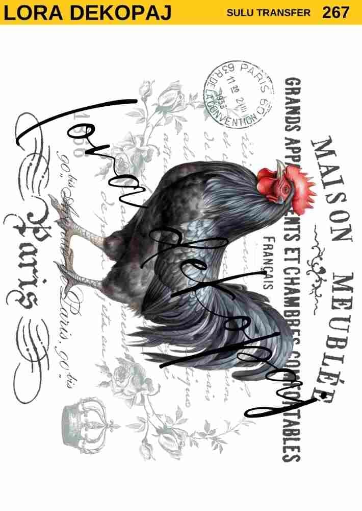 Lora s267 Sulu Transfer