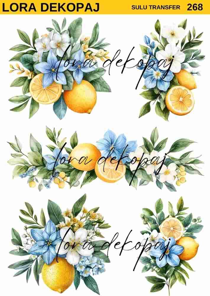 Lora s268 Sulu Transfer