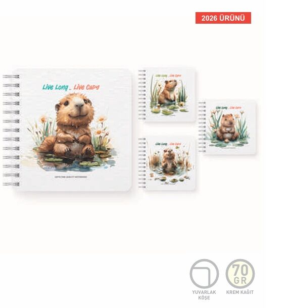 Gıpta Live Cappy Spiralli Sert Kapak Defter 16x16 100 Yaprak Çizgili