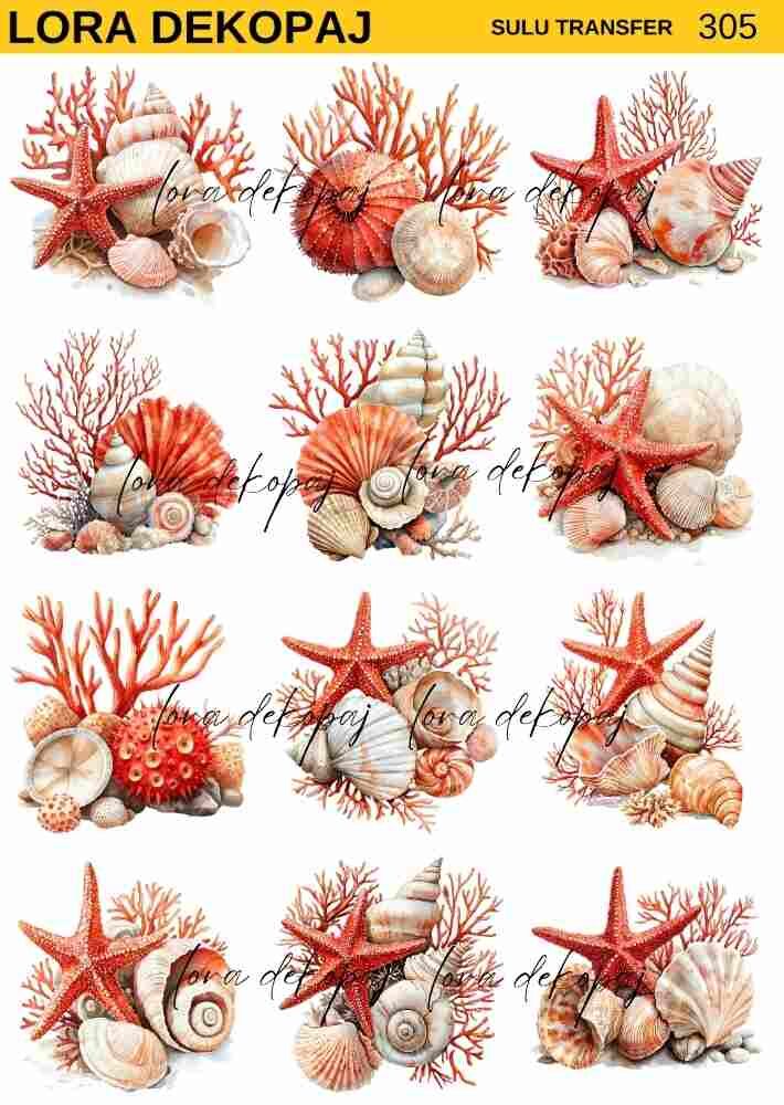 Lora s305 Sulu Transfer