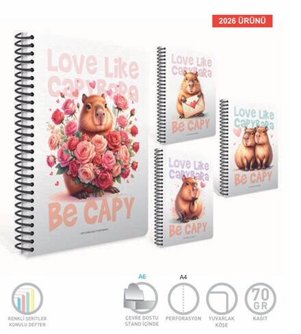 Gıpta Be Capy Spiralli Ofset Cr Pp Kapak Defter A4 80 Yaprak Çizgili