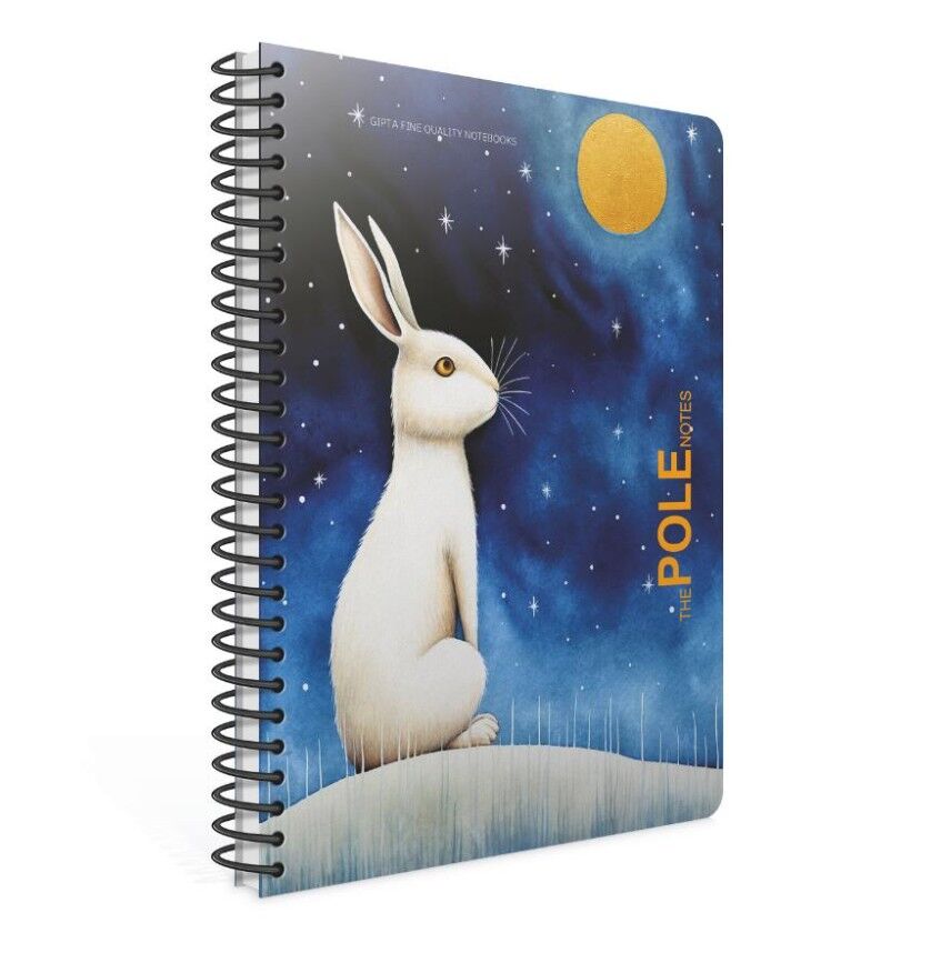 Gıpta Pole Notes Spiralli Pp Kapak Defter A4 80 Yaprak Kareli