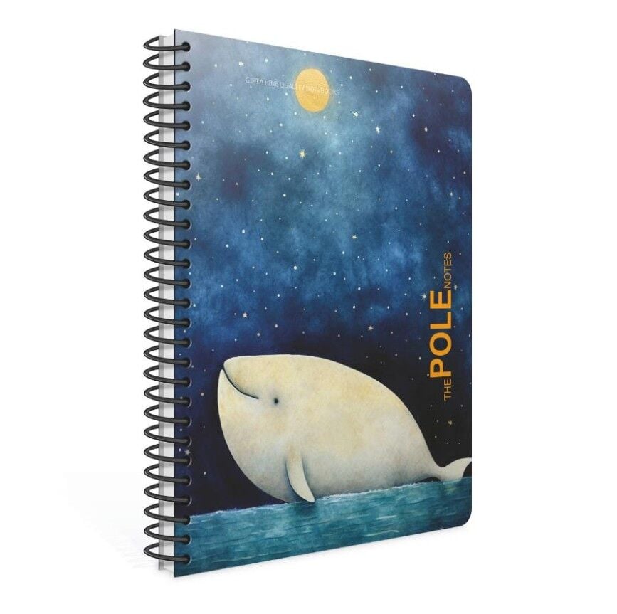 Gıpta Pole Notes Spiralli Pp Kapak Defter A4 80 Yaprak Kareli