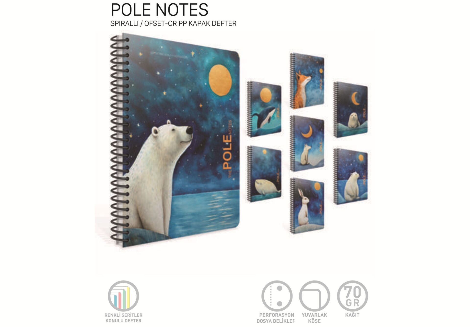 Gıpta Pole Notes Spiralli Pp Kapak Defter A4 100 Yaprak Kareli