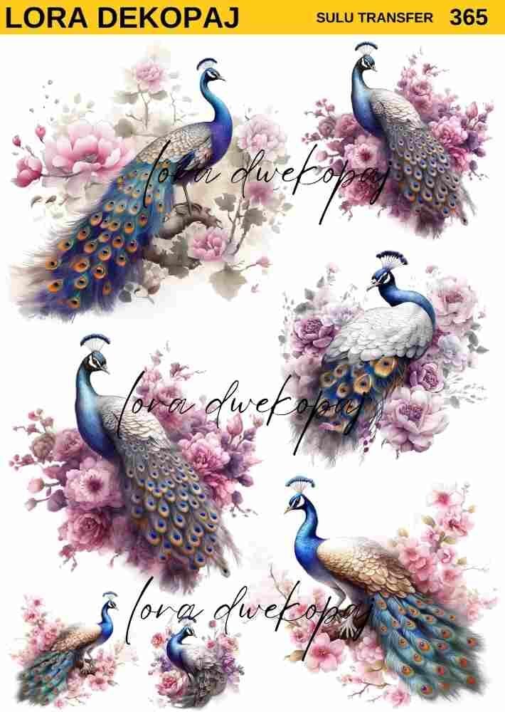 Lora s365 Sulu Transfer