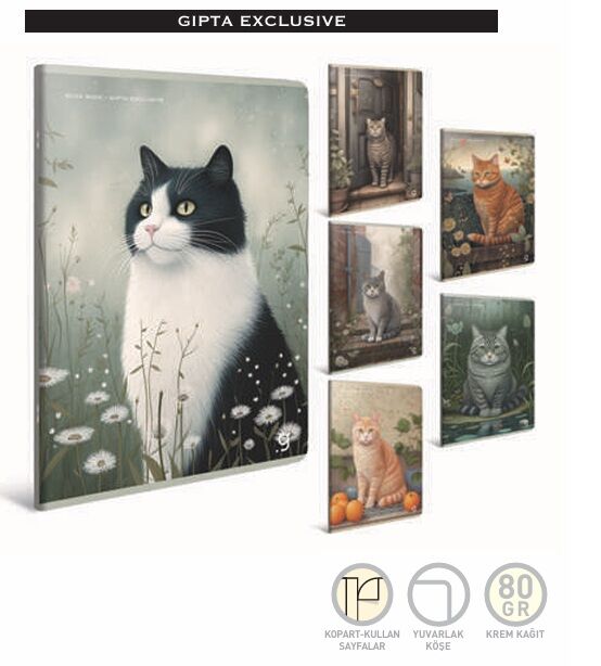 Gıpta Echo Book Tel.Dikiş Karton Kapak Defter 13x18 60 Yaprak Çizgili