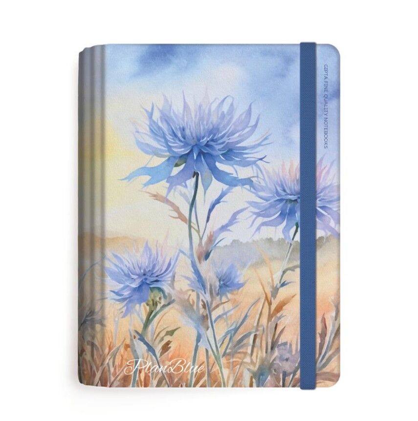 Gıpta Plan Blue Spiralli Sert Kapak Defter 13x21 120 Yaprak Ç+K