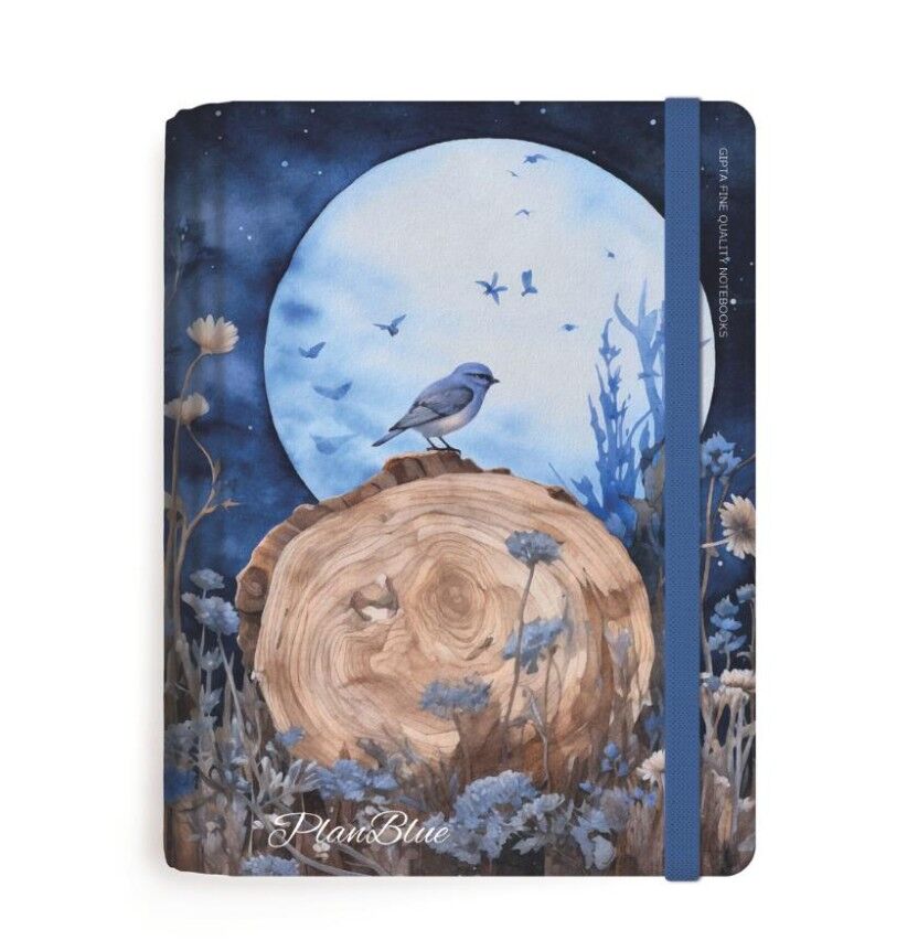 Gıpta Plan Blue Spiralli Sert Kapak Defter 13x21 120 Yaprak Ç+K