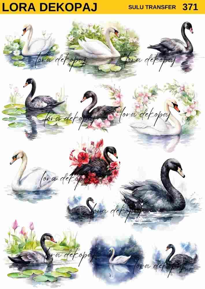 Lora s371 Sulu Transfer