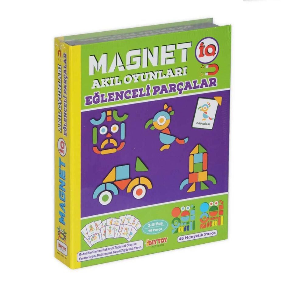 Diytoy Manyetik Eğlenceli Parçalar