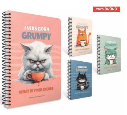 Gıpta Grumpy Notes Spiralli Sert Kapak Defter A5 100 Yaprak Çizgili