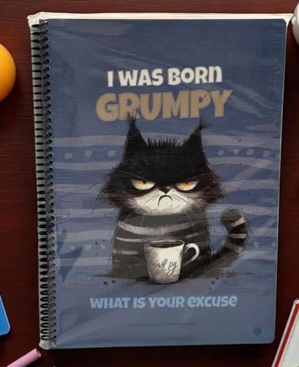 Gıpta Grumpy Notes Spiralli Pressboard Defter A4 80 Yaprak Çizgili