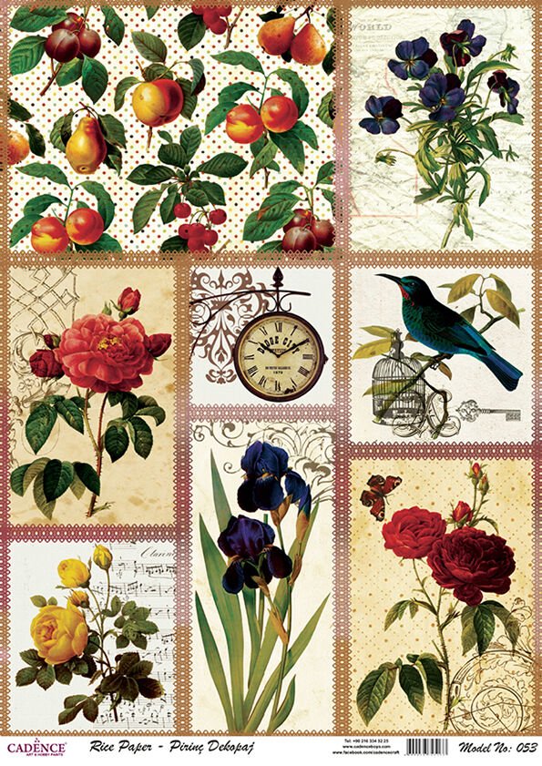 Cadence Pirinç Kağıt Model 53 30X42