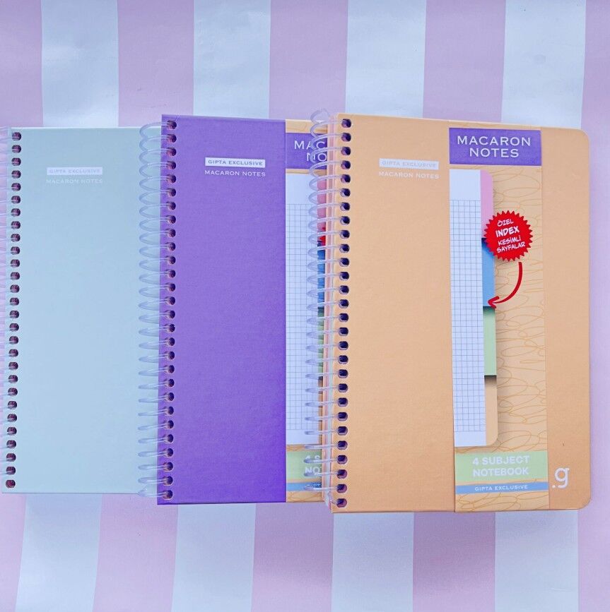 Gıpta Spiralli Seperatörlü Sert Kapak Defter 17X24 120 Yaprak Kareli