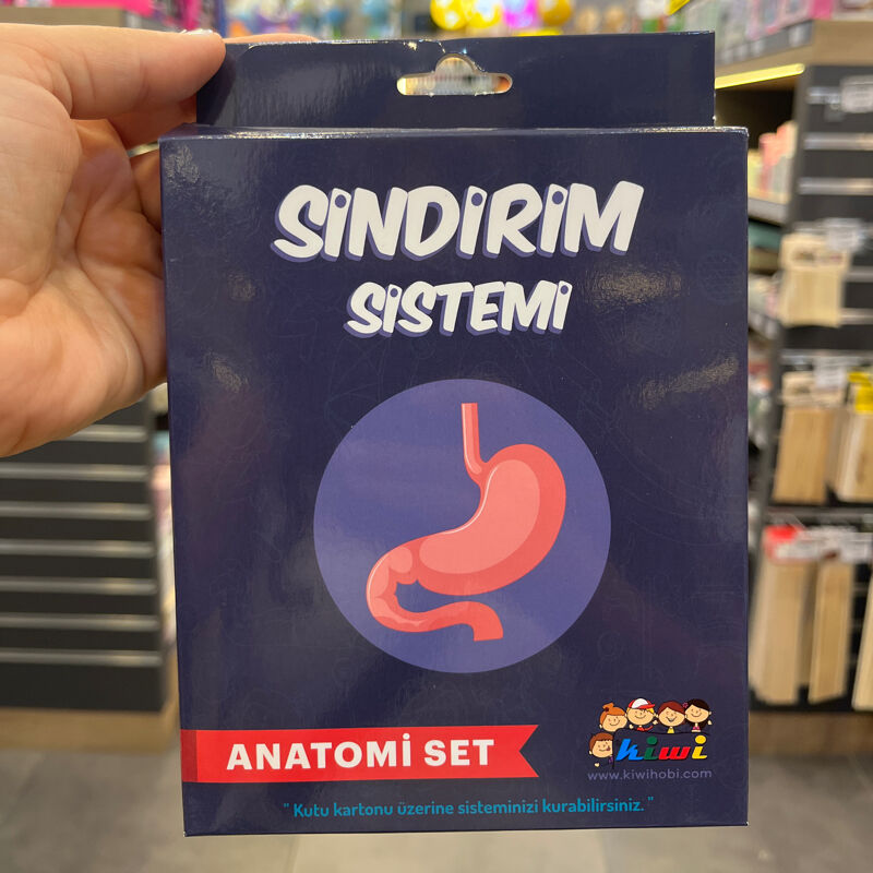 Kiwi Sindirim Sistemi