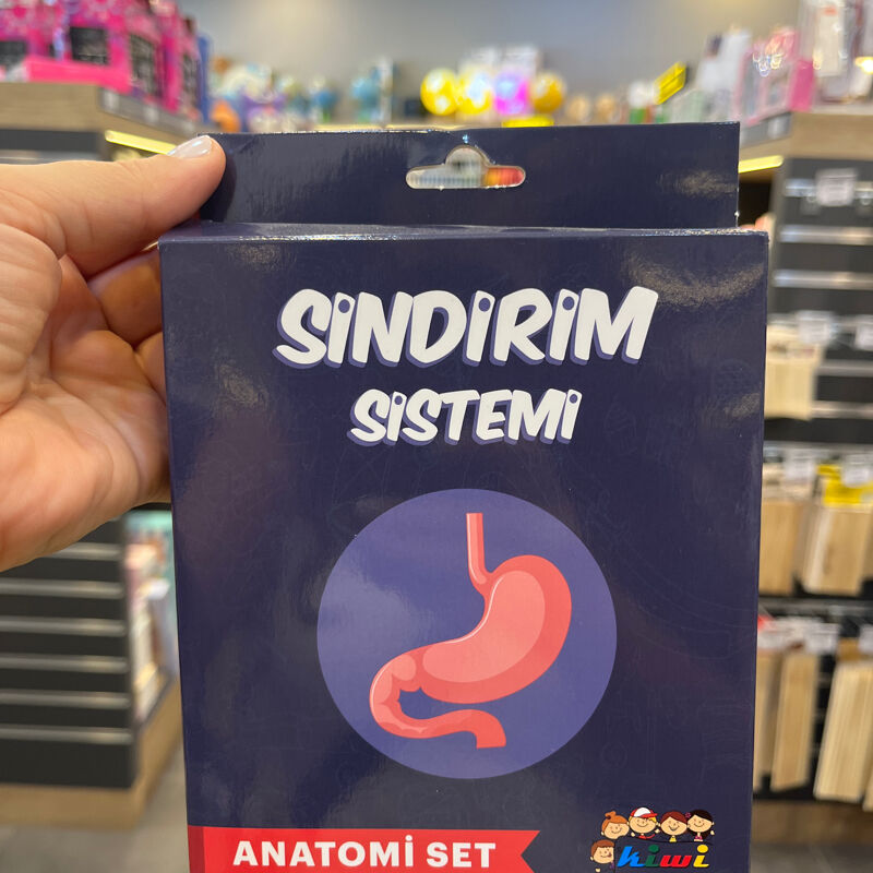 Kiwi Sindirim Sistemi