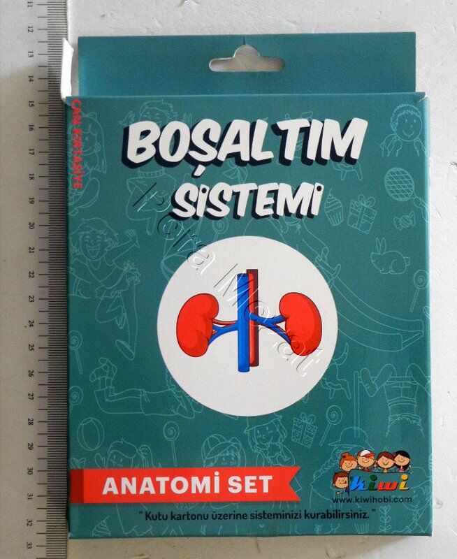 Kiwi Boşaltım Sistemi