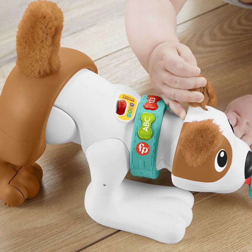 Emekleme Ve Sayma Ogreten Köpek 4