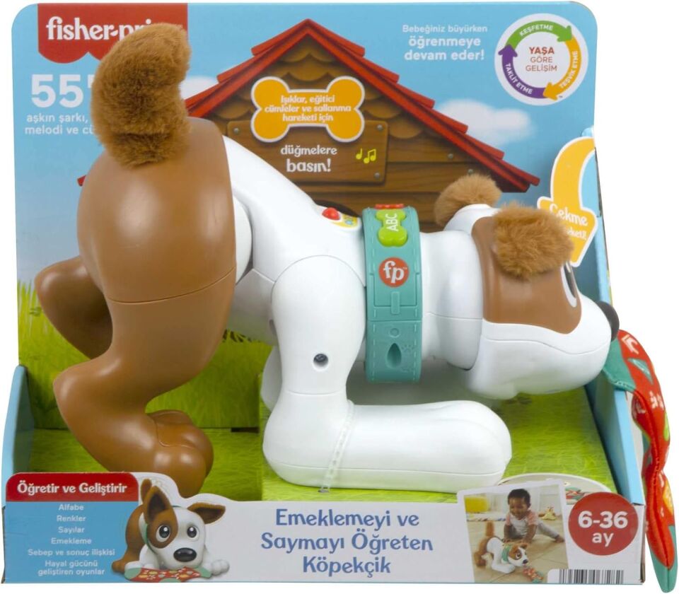 Emekleme Ve Sayma Ogreten Köpek 4