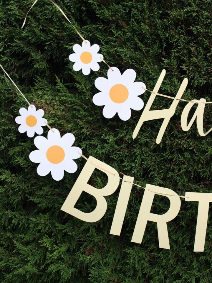 Astaş Papatya Happy Birthday Parti Banner