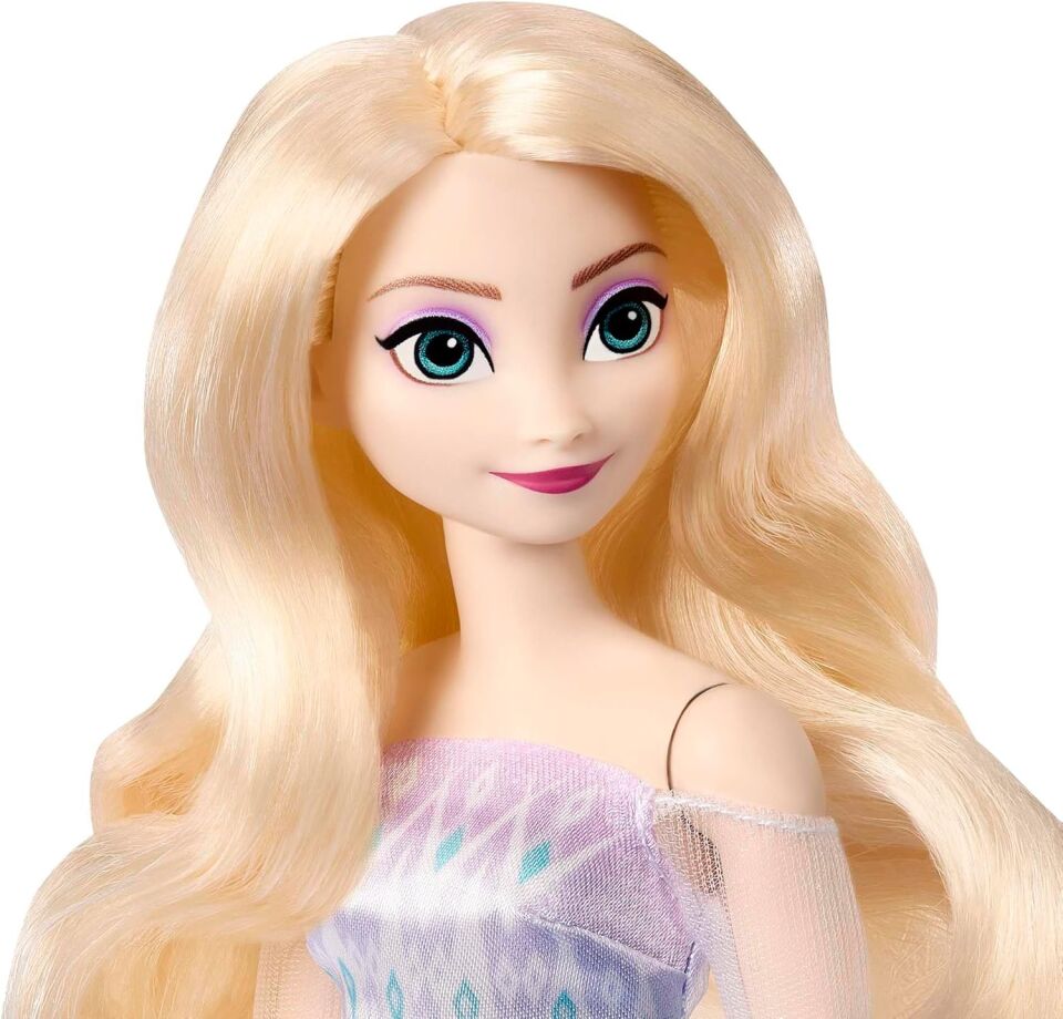 Disney Karlar Ükesi Prensesleri Anna Ve Elsa