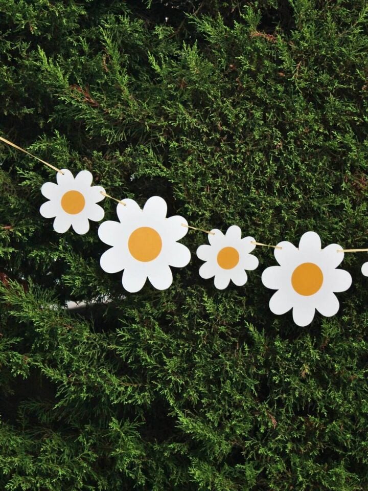 Astaş Papatya Parti Banner