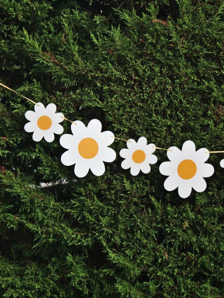 Astaş Papatya Parti Banner