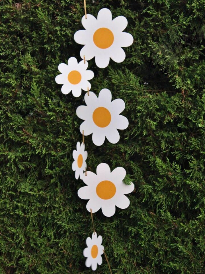 Astaş Papatya Parti Banner