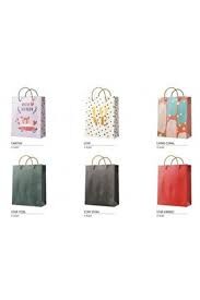 Gıpta Xlarge Karton Çanta Seti