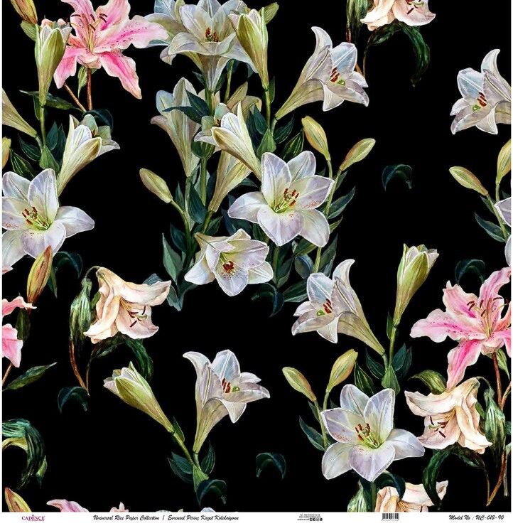 Cadence Evrensel Pirinç Kağıt Koleksiyon Siyah Zemin Uc-012 30x30