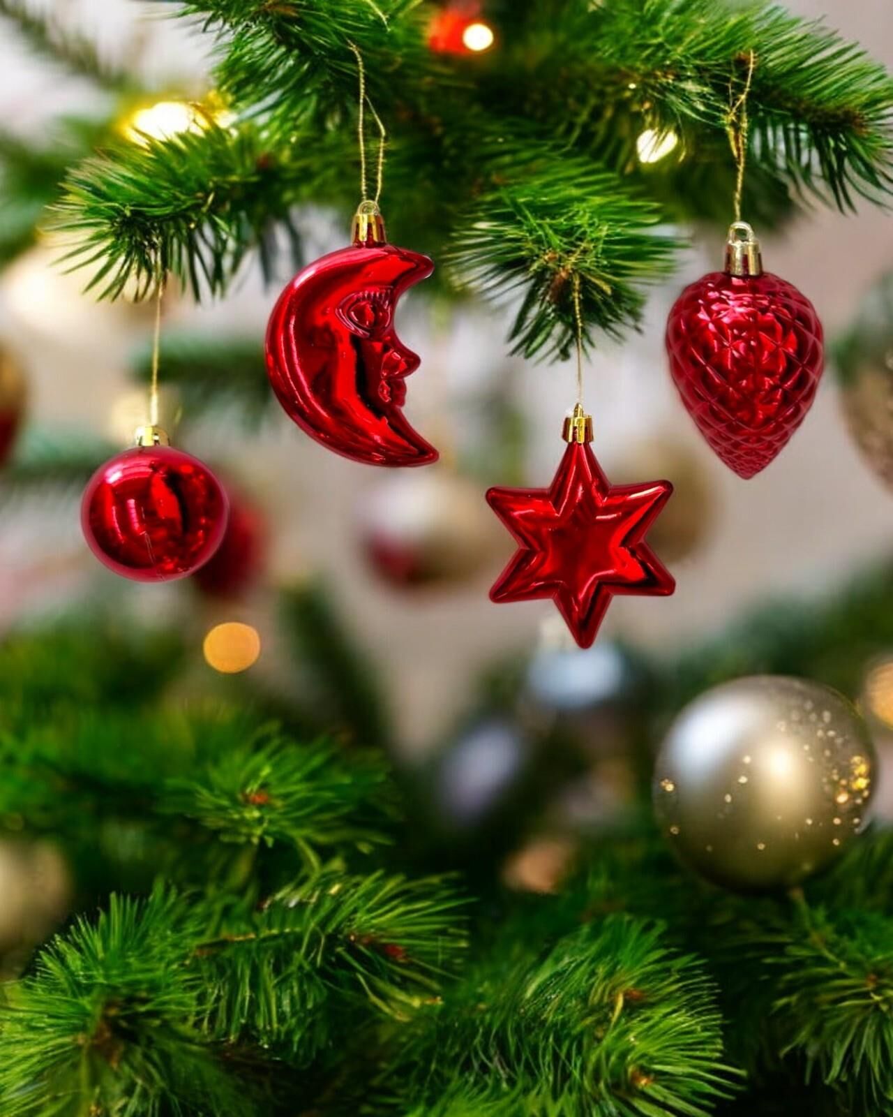Astaş Karışık Asmalı Ağaç Süsü Kırmızı Süs 10 Lu