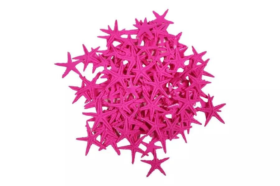 Kmy Deniz Yıldızı Pembe 2 Cm 20 Adet