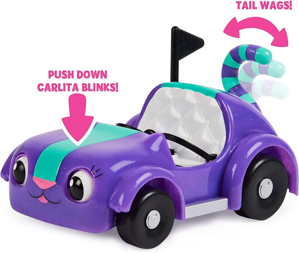 Gabby'S Dollhouse Carlıta Ve Pandy Paws Piknik 
