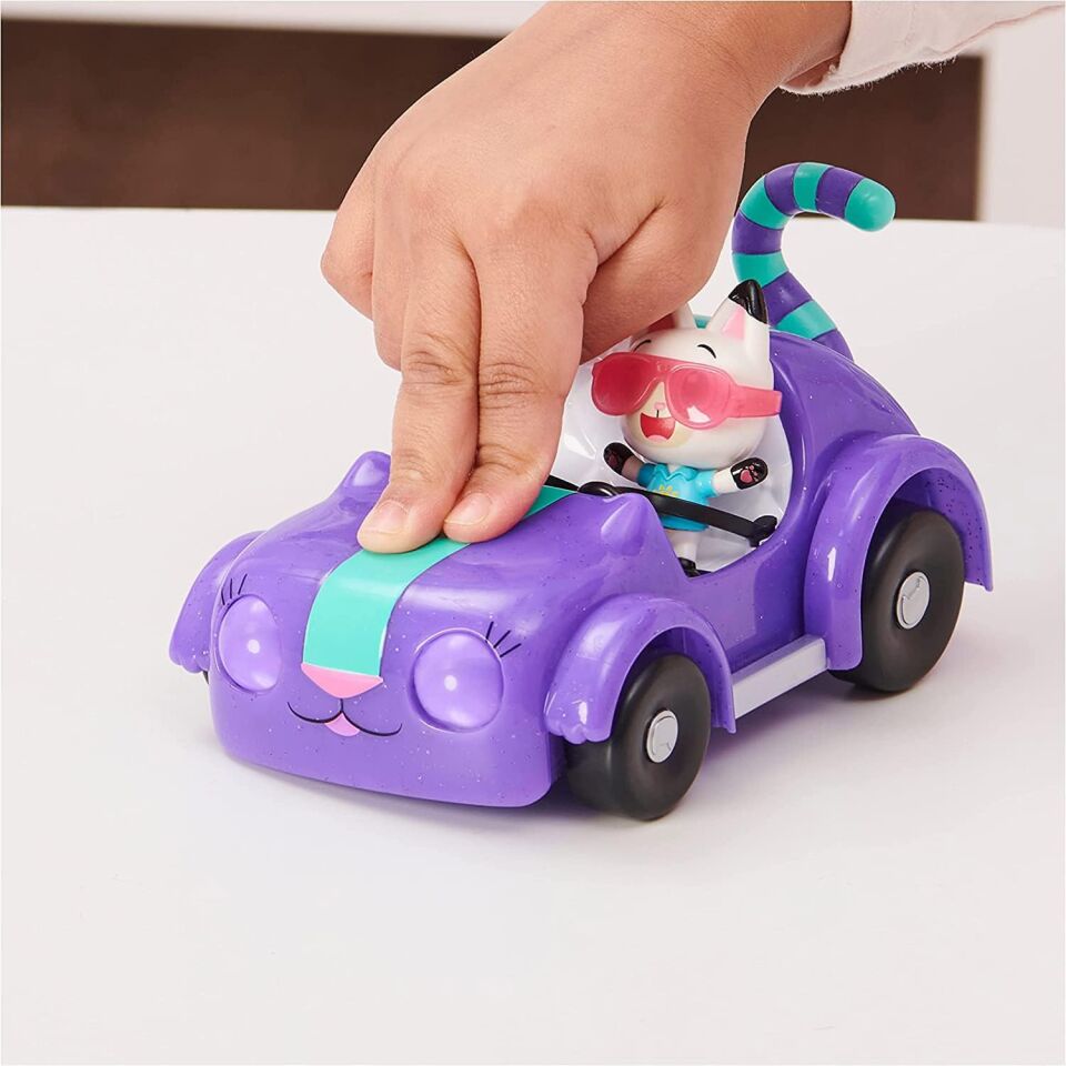 Gabby'S Dollhouse Carlıta Ve Pandy Paws Piknik 