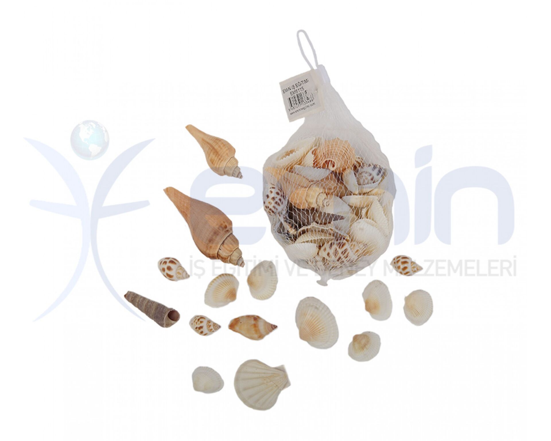 Emin İş Eğitimi Filede Deniz Kabuğu